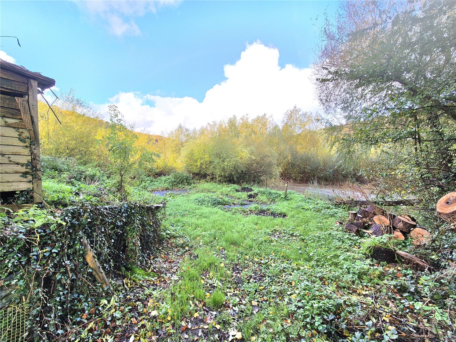 Taddiport, Torrington, Devon image 14