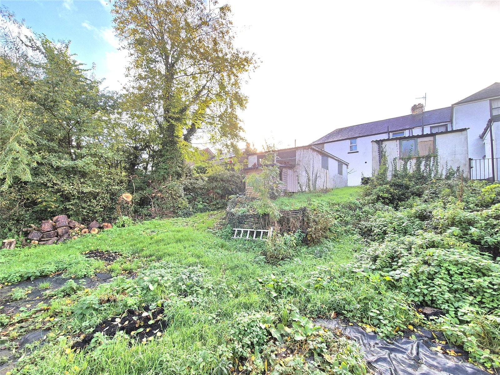 Taddiport, Torrington, Devon image 17