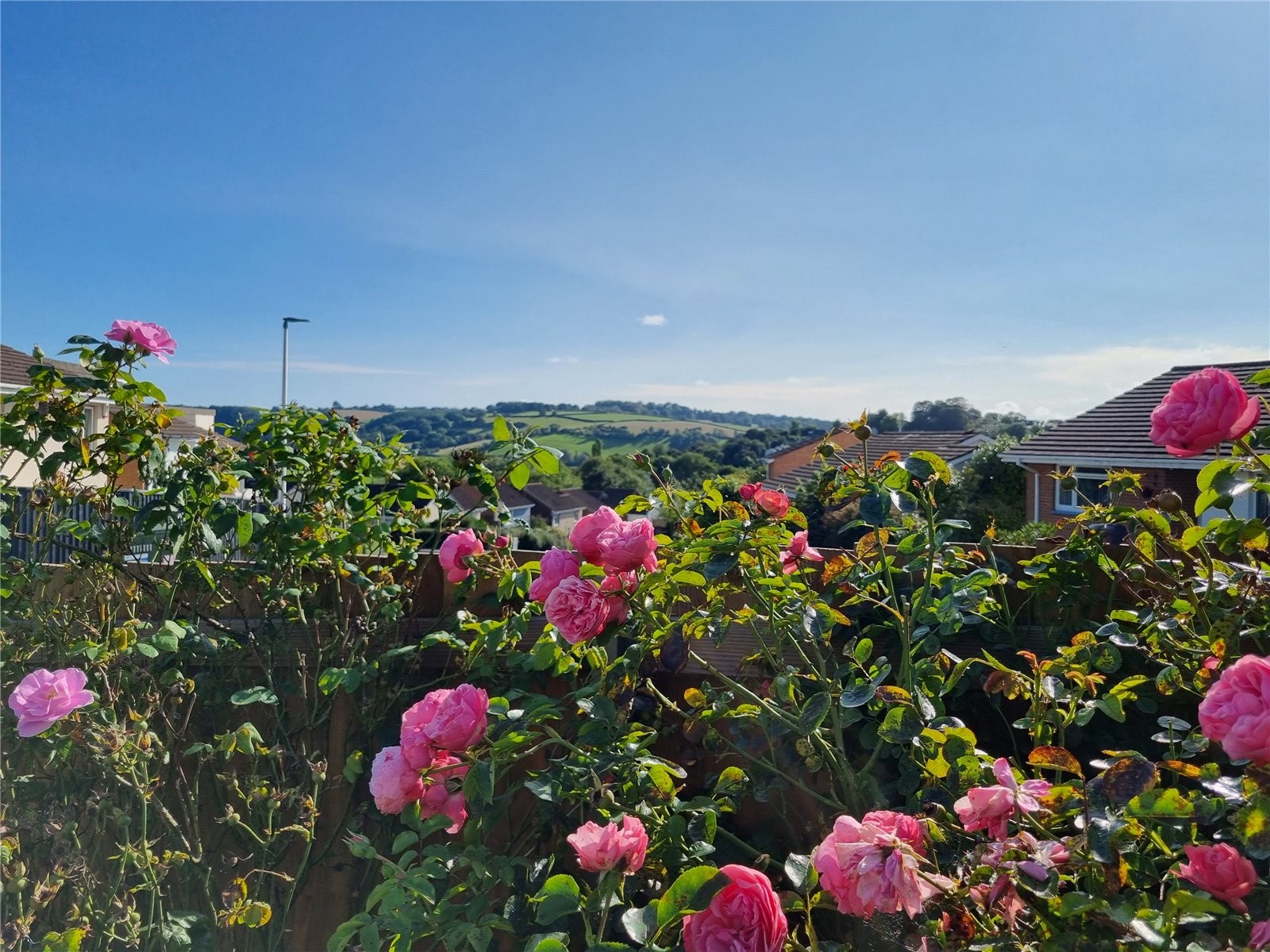 Borough Road, Torrington, Devon image 15