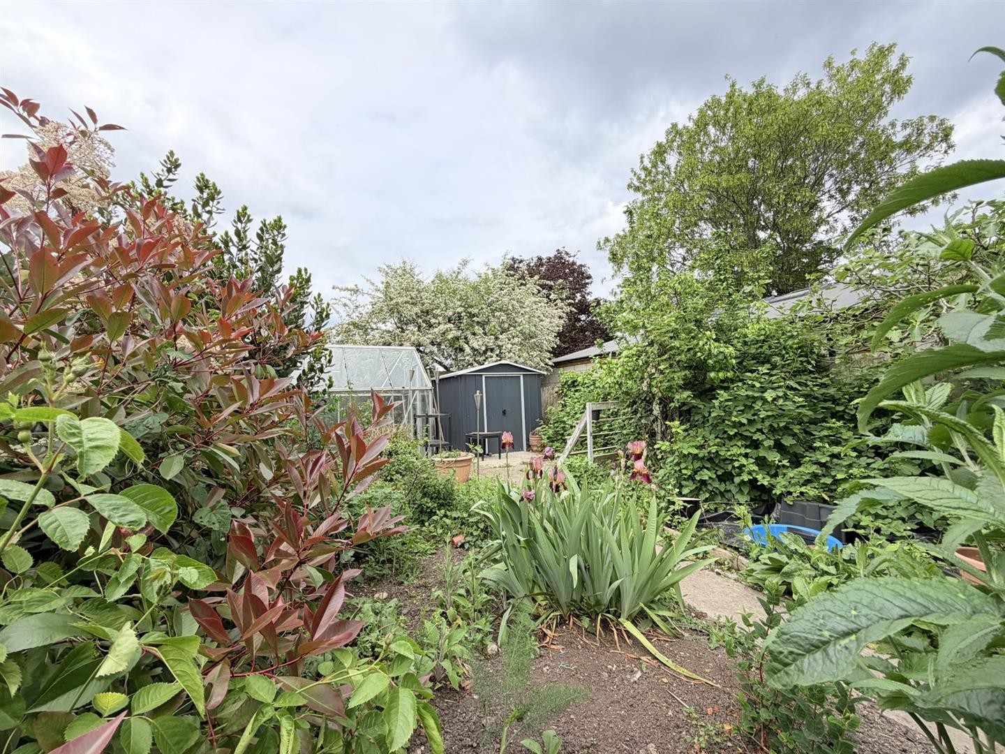 Hampton Road, London image 17