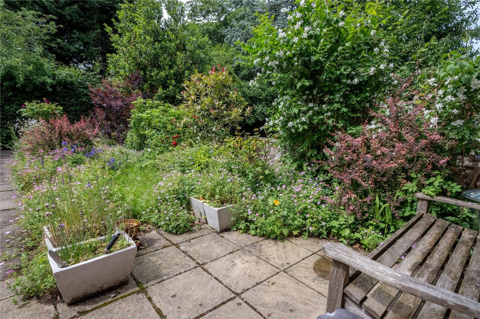 Aldwyn Avenue, Moseley, Birmingham image 22