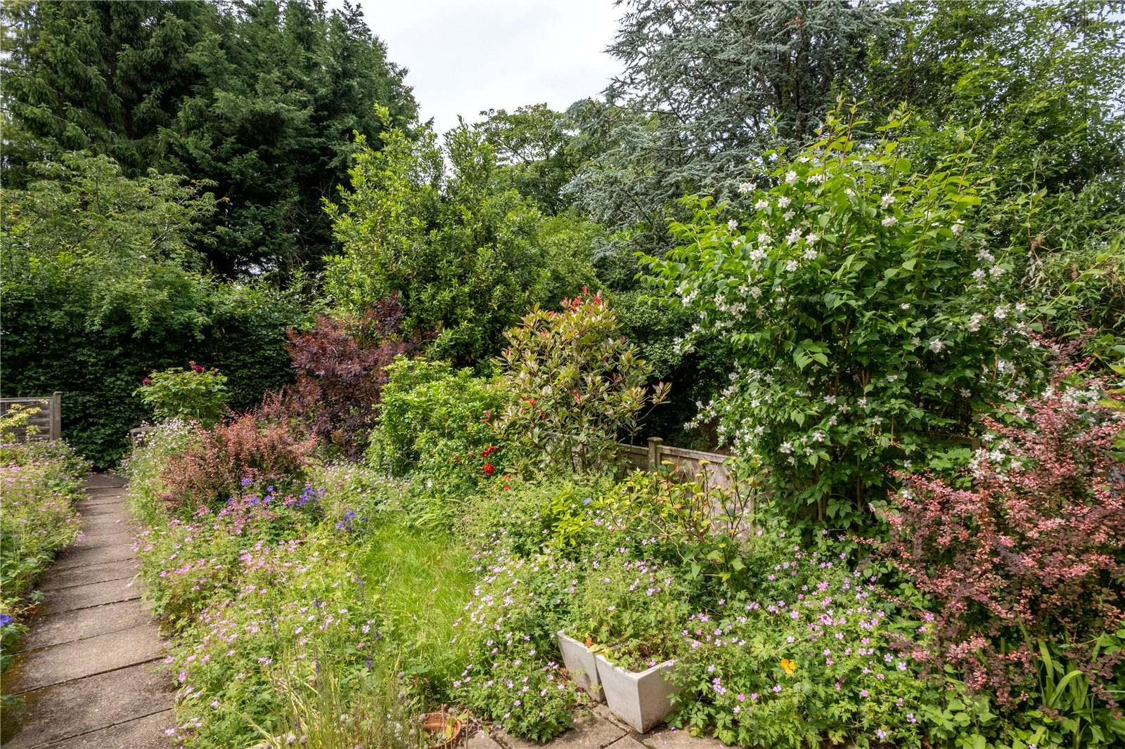 Aldwyn Avenue, Moseley, Birmingham image 24