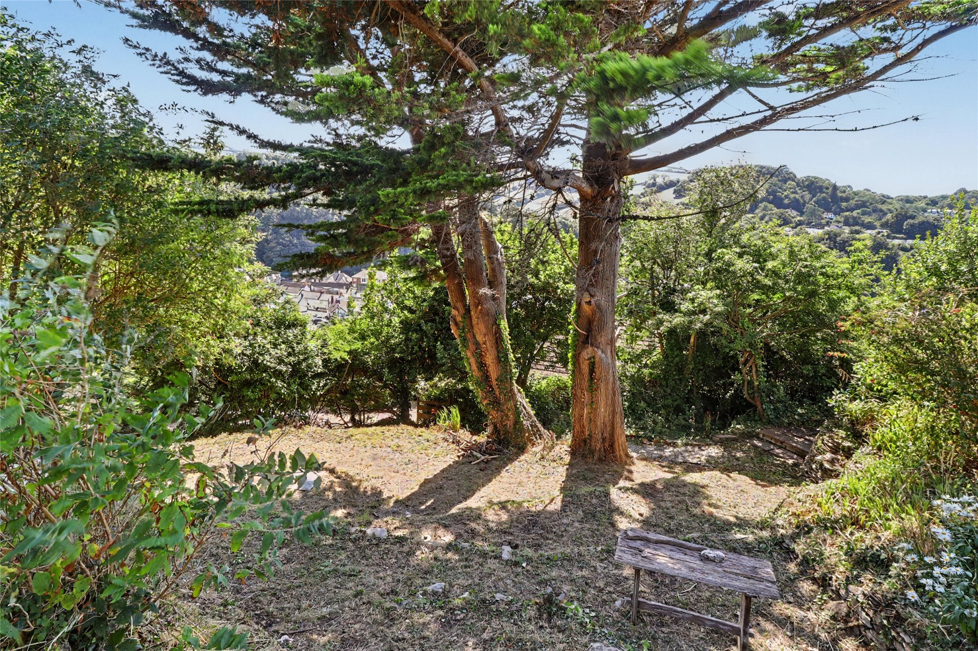 Lester Point, Combe Martin, Ilfracombe image 31