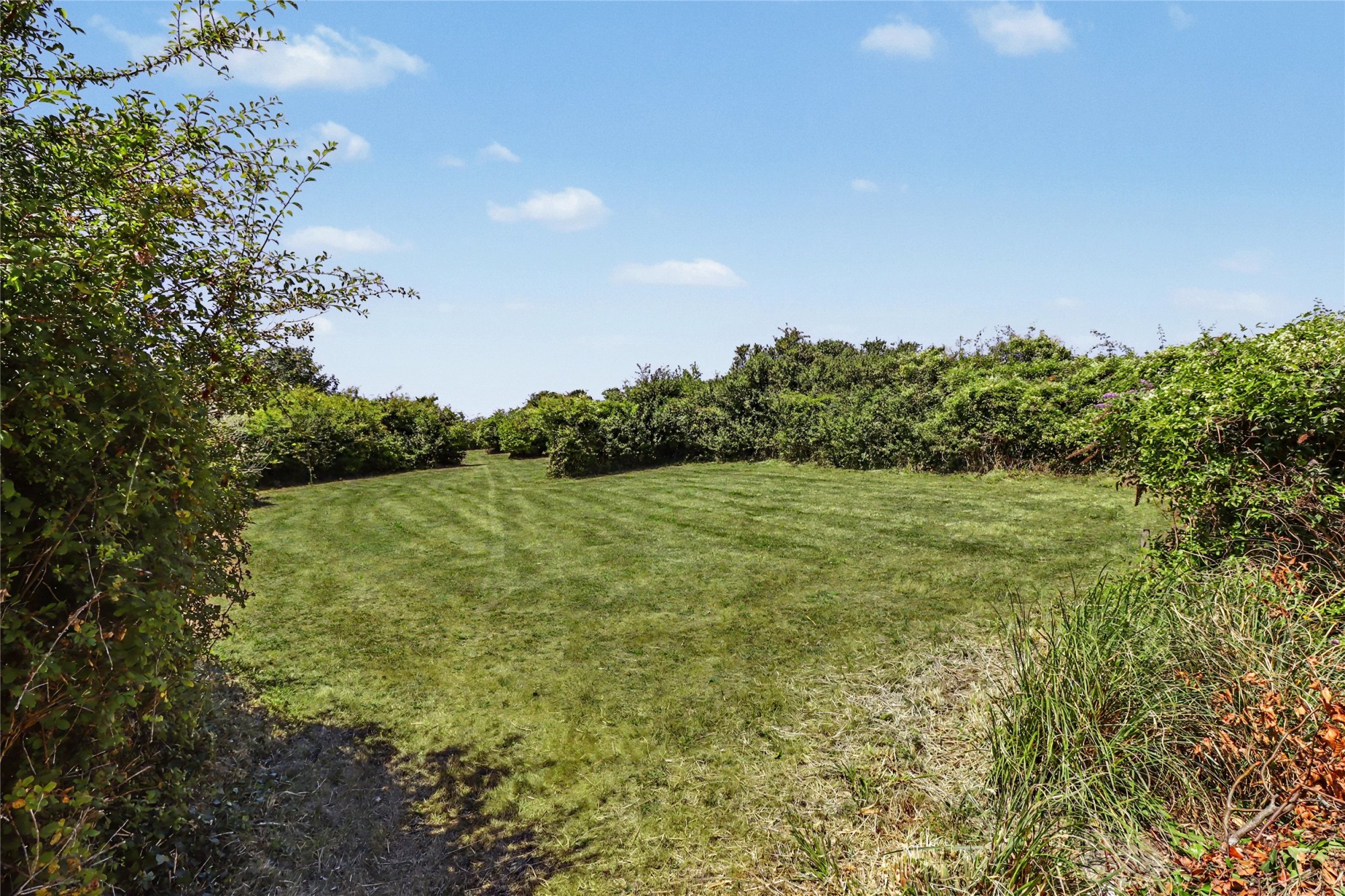 Lester Point, Combe Martin, Ilfracombe image 32