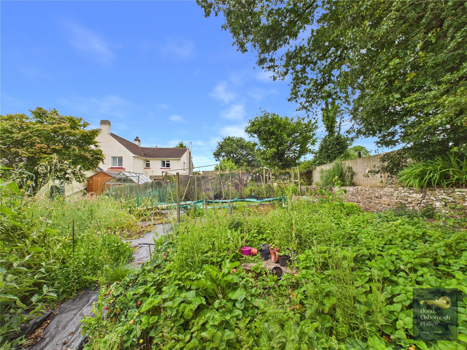 Little Torrington, Torrington, Devon image 2