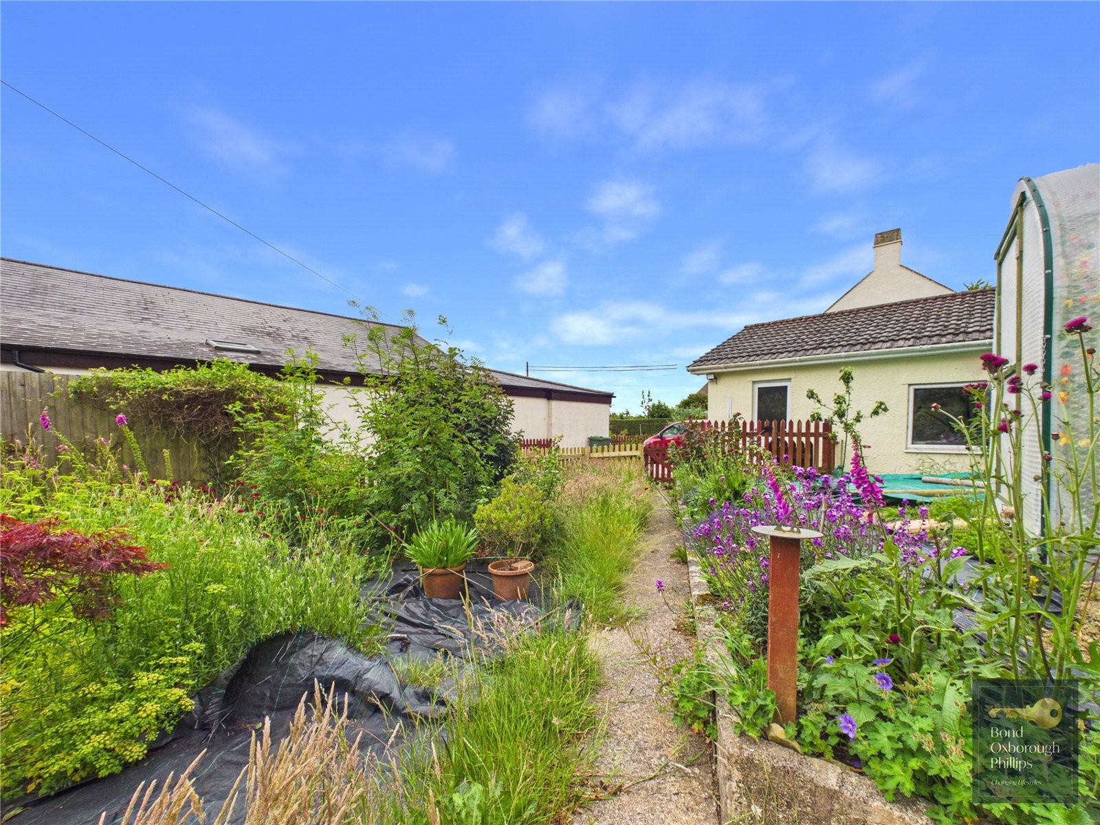 Little Torrington, Torrington, Devon image 3
