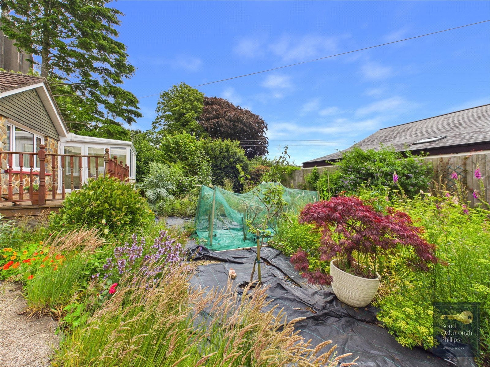 Little Torrington, Torrington, Devon image 7