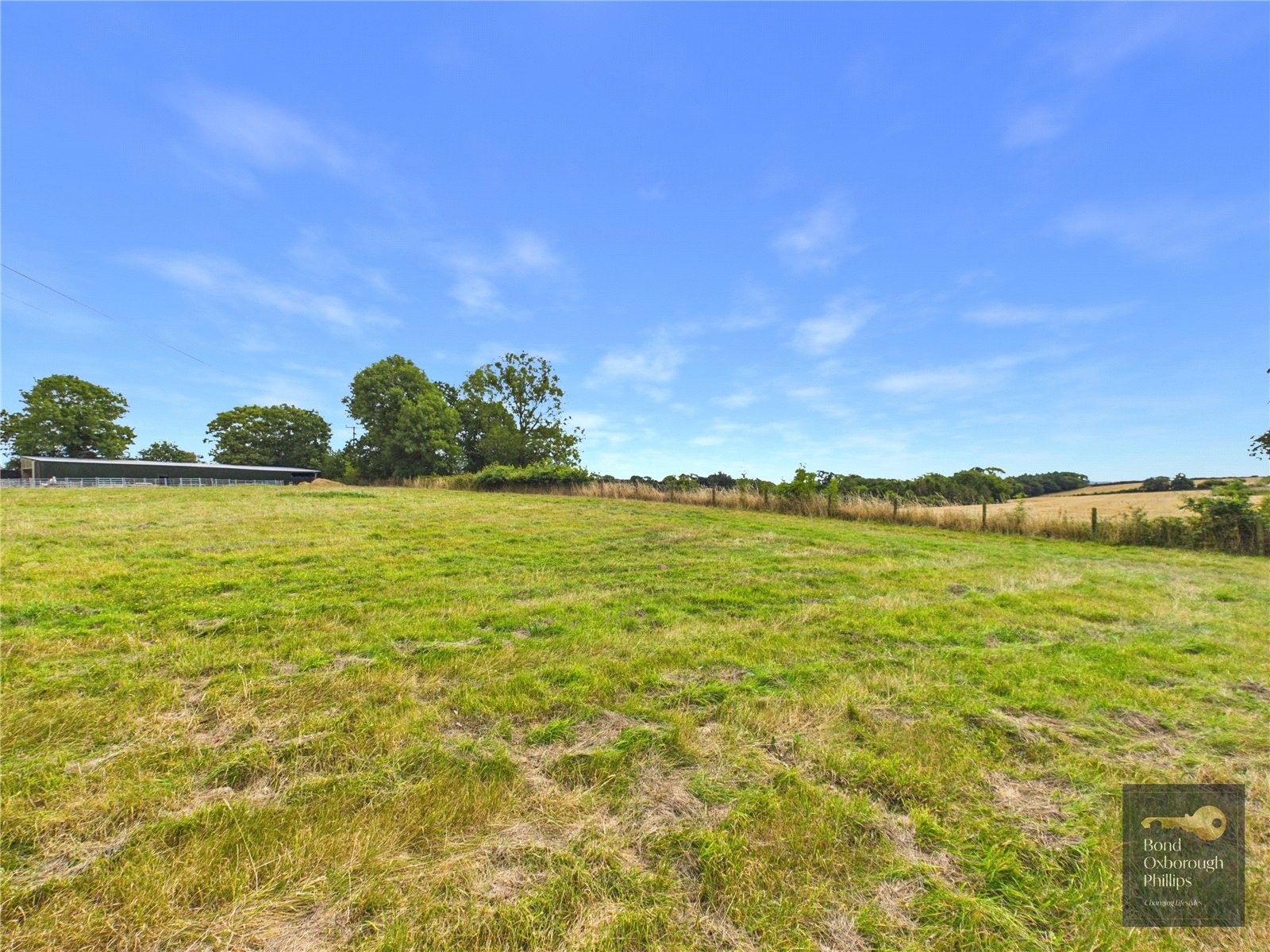 Dowland, Winkleigh, Devon image 3