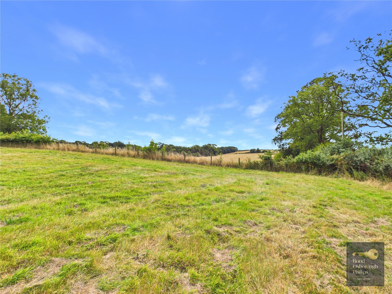 Dowland, Winkleigh, Devon image 35