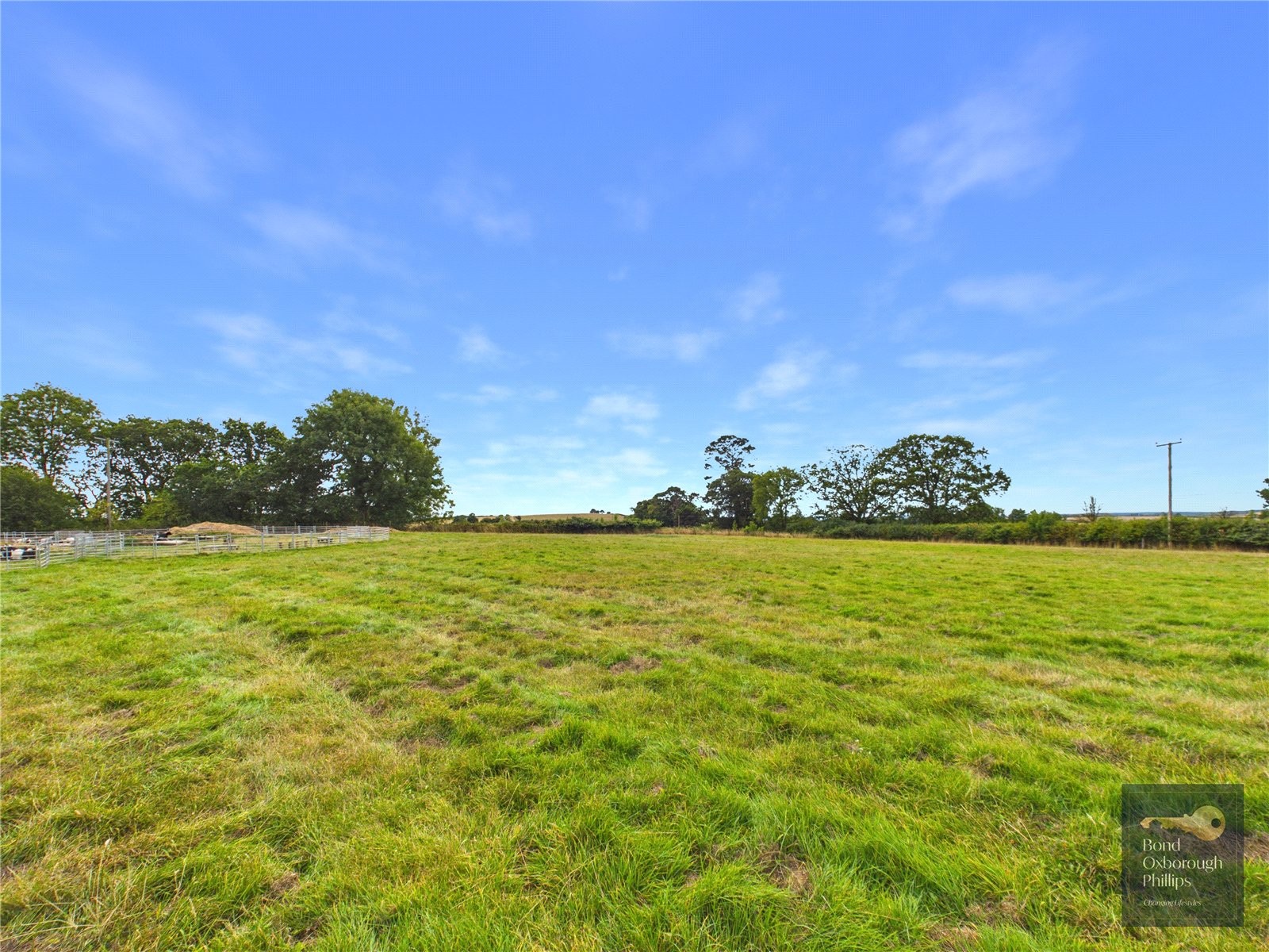 Dowland, Winkleigh, Devon image 36