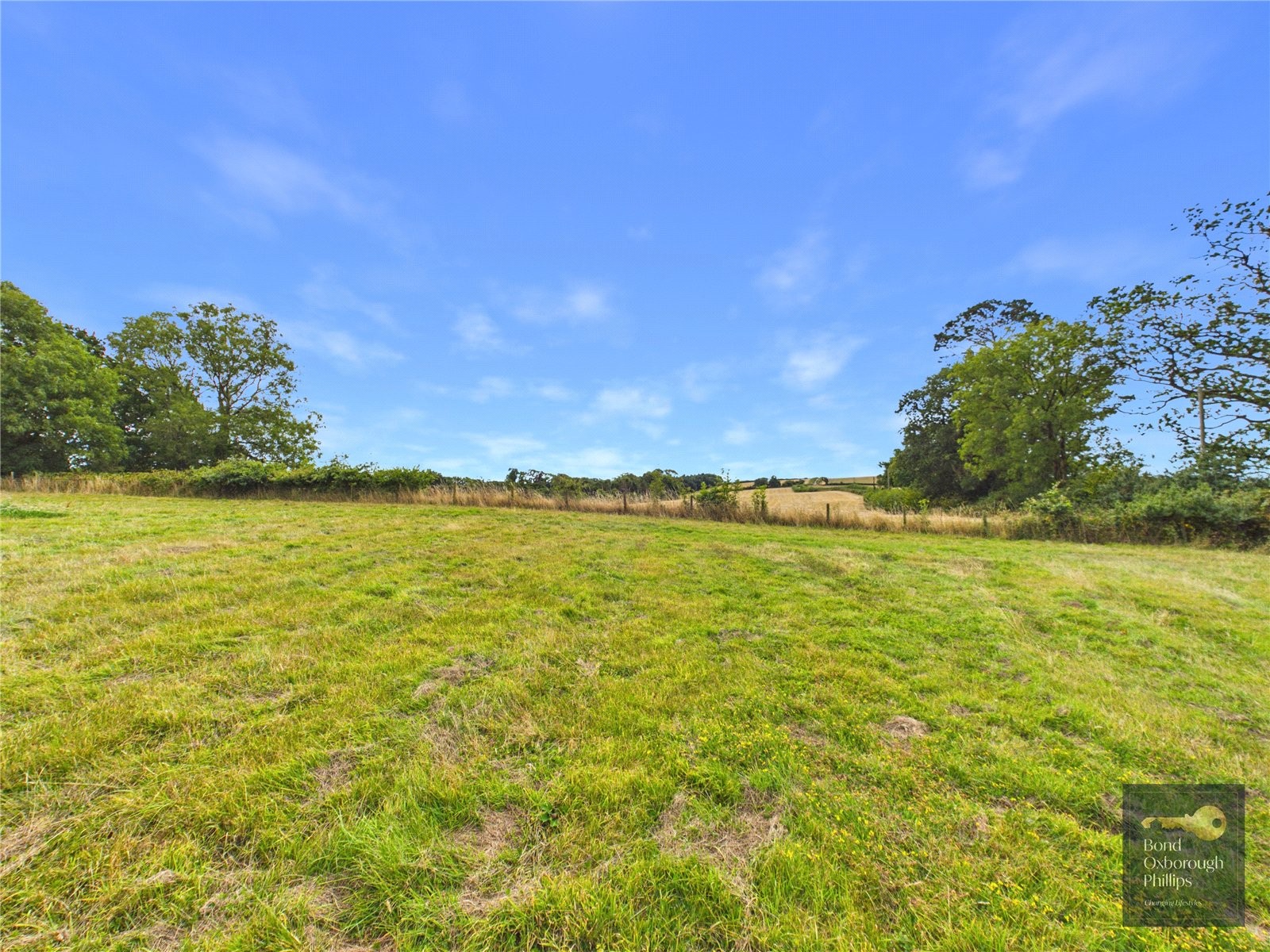 Dowland, Winkleigh, Devon image 39