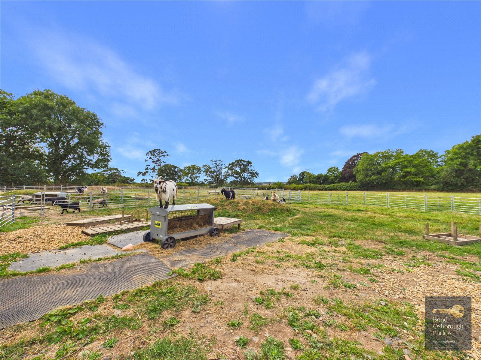 Dowland, Winkleigh, Devon image 42