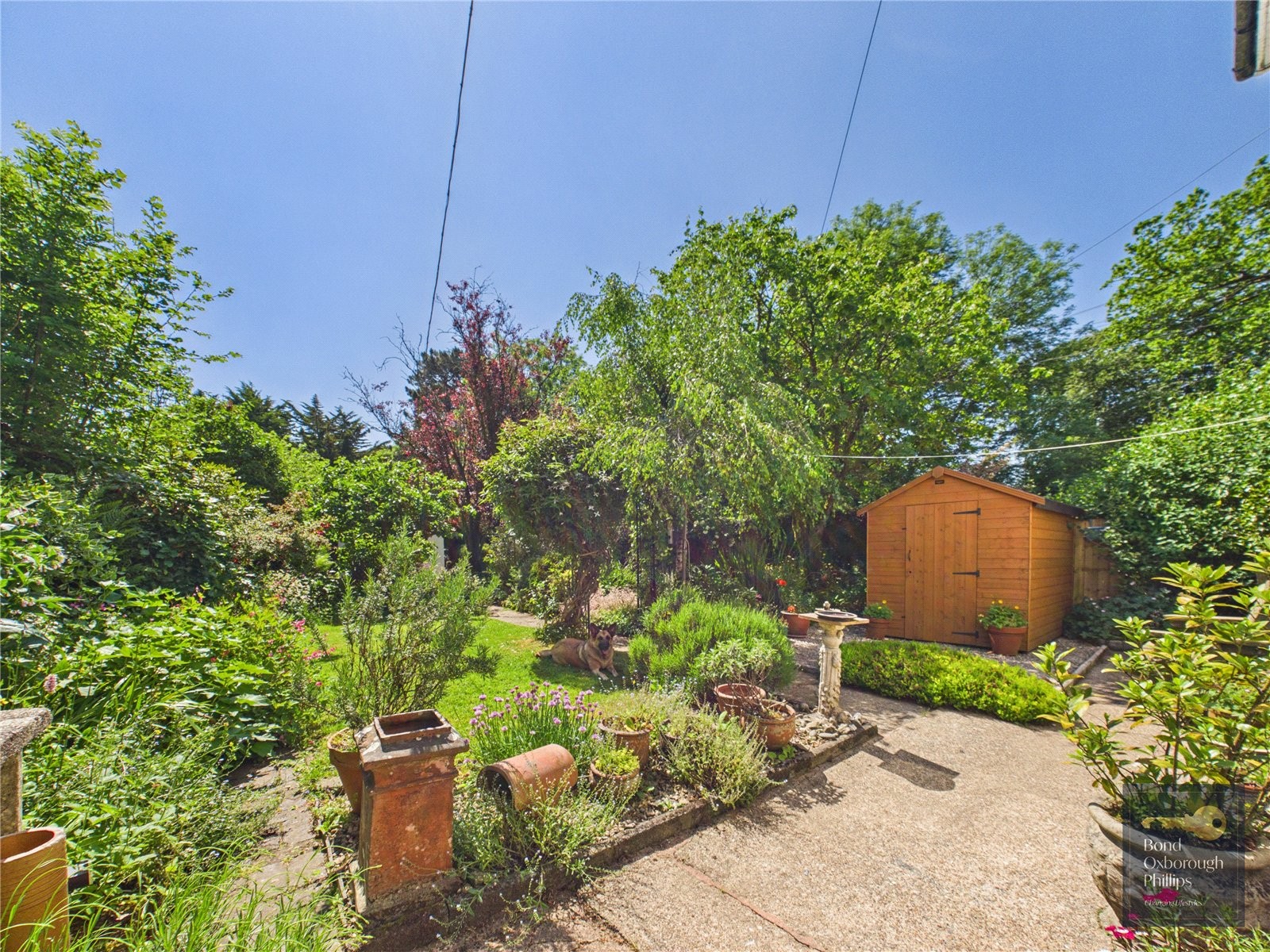 High Bolham, Oakford, Tiverton image 31
