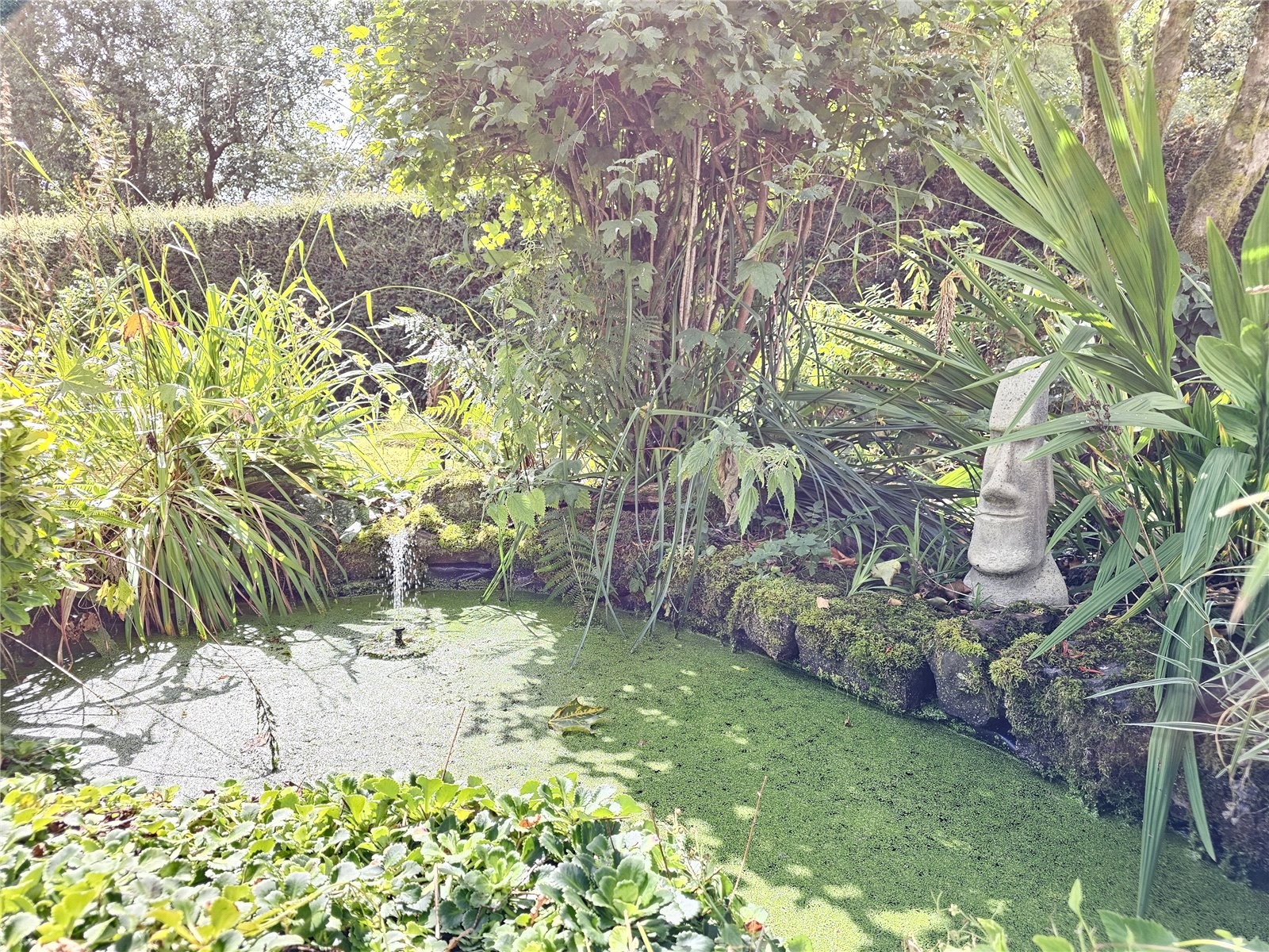 High Bolham, Oakford, Tiverton image 40