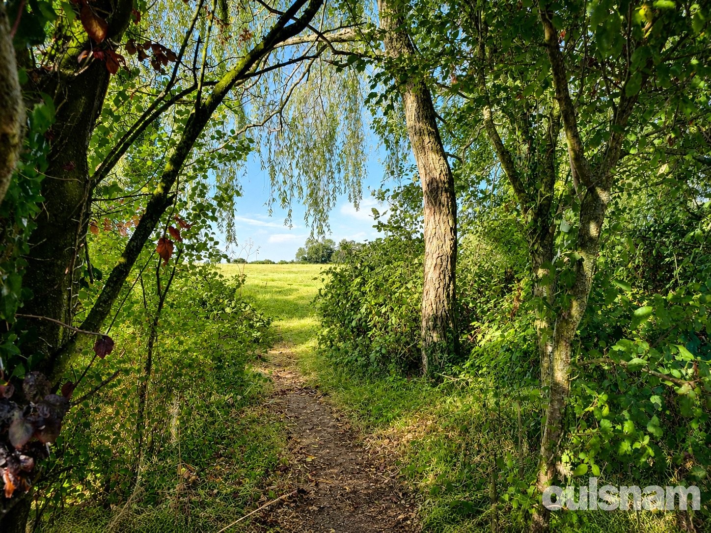 Smite Hill, Hindlip, Worcester image 53