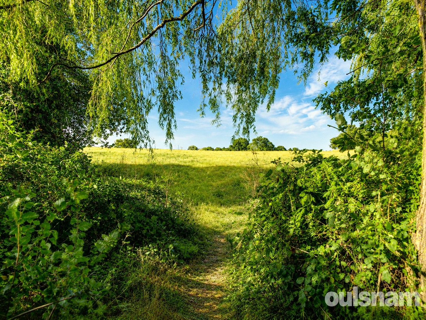 Smite Hill, Hindlip, Worcester image 54