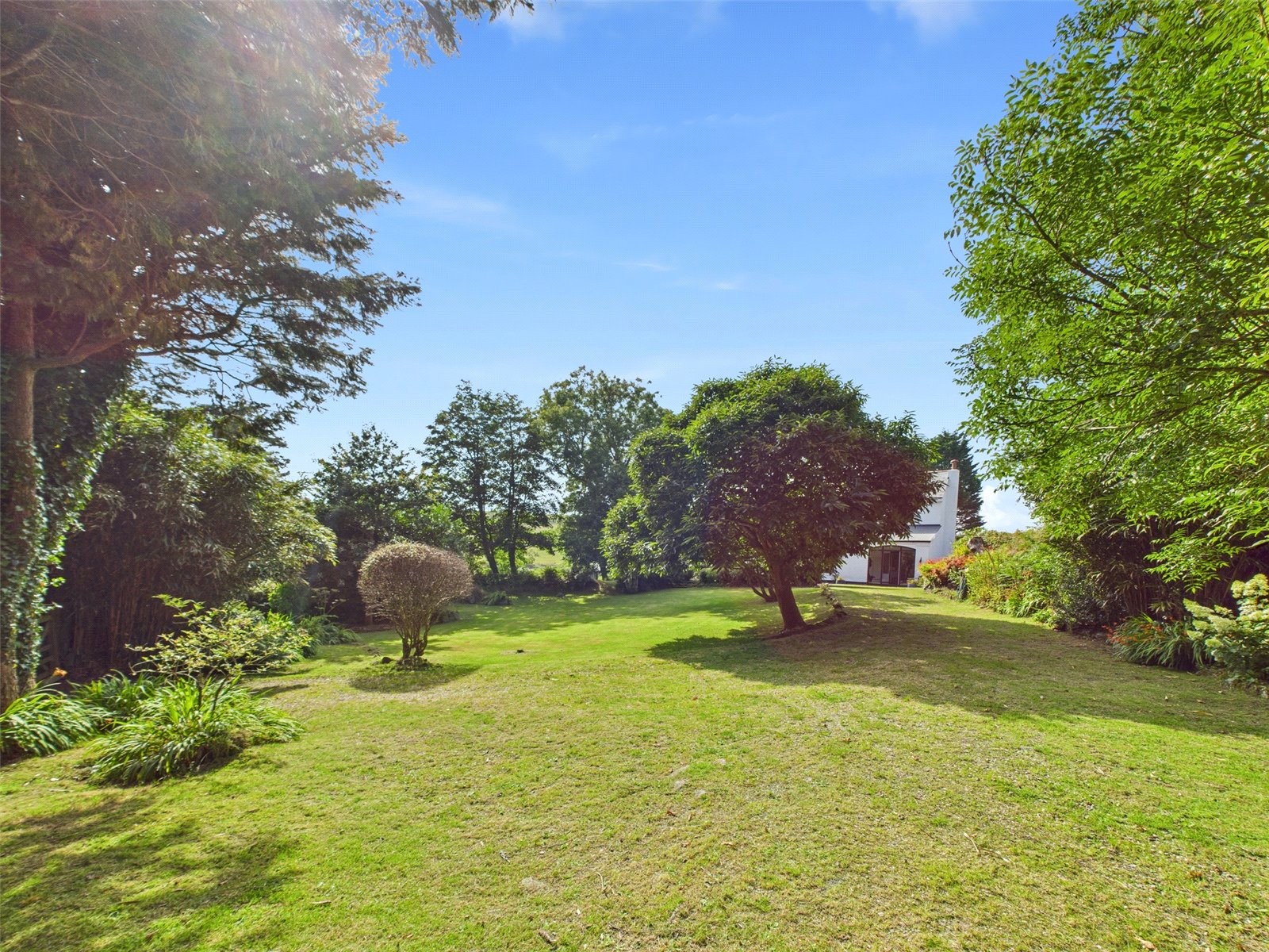 Warleggan, Warleggan, Bodmin image 20