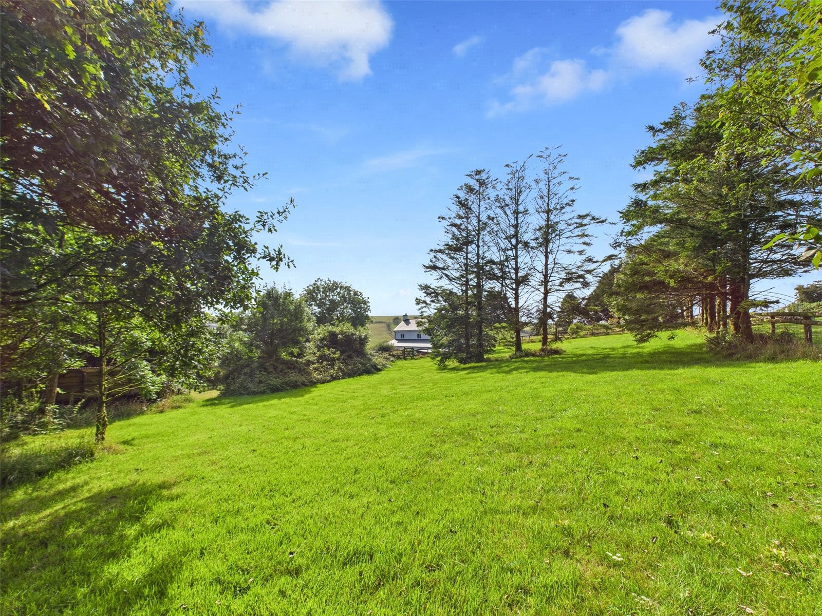 Warleggan, Warleggan, Bodmin image 21