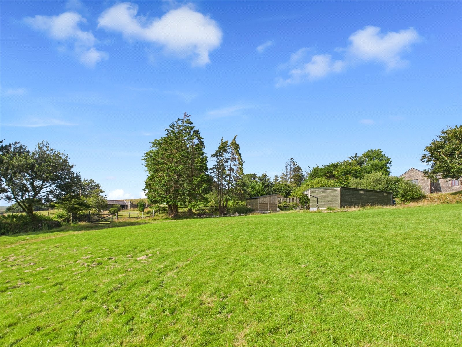 Warleggan, Warleggan, Bodmin image 32
