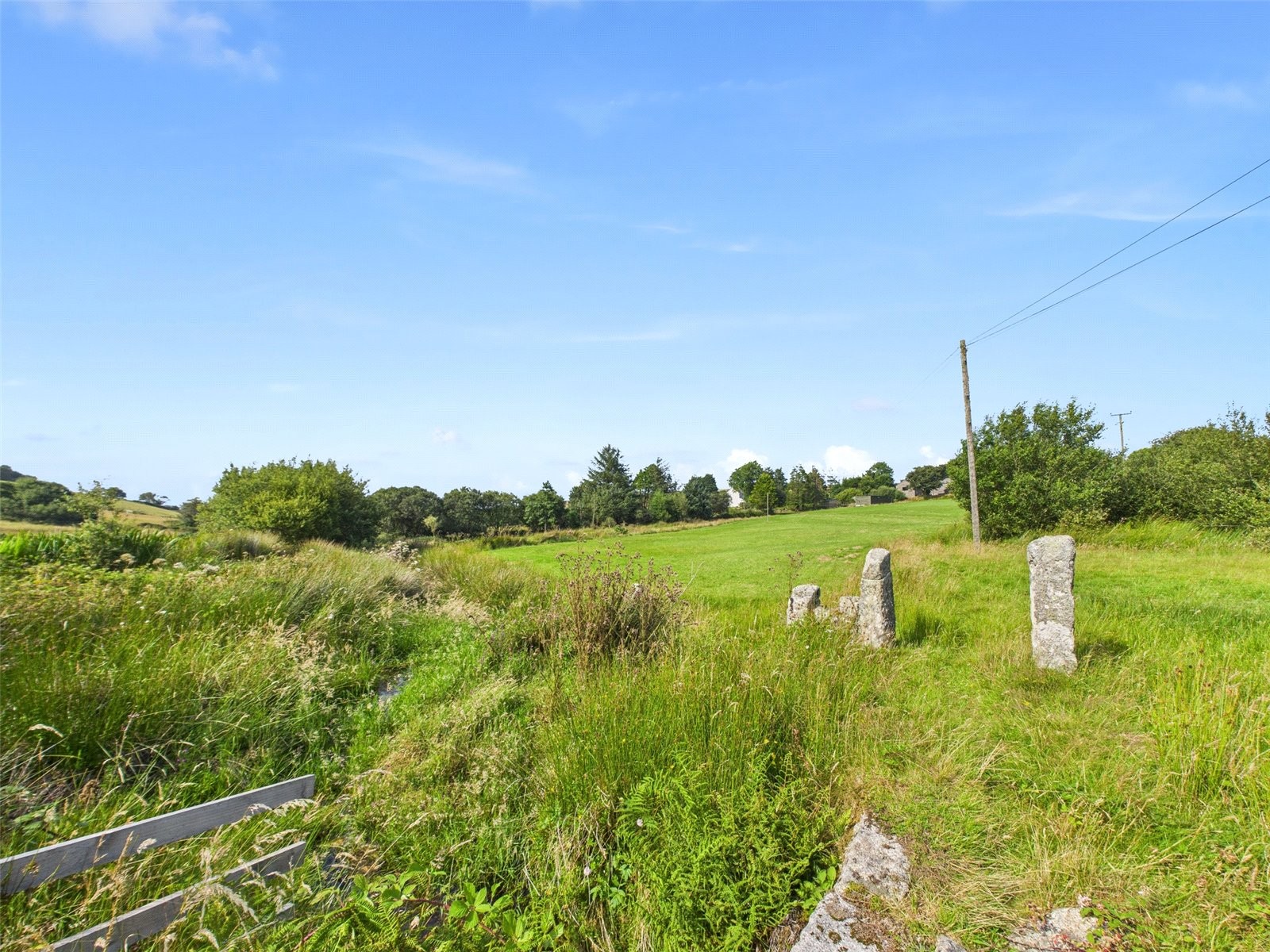 Warleggan, Warleggan, Bodmin image 34