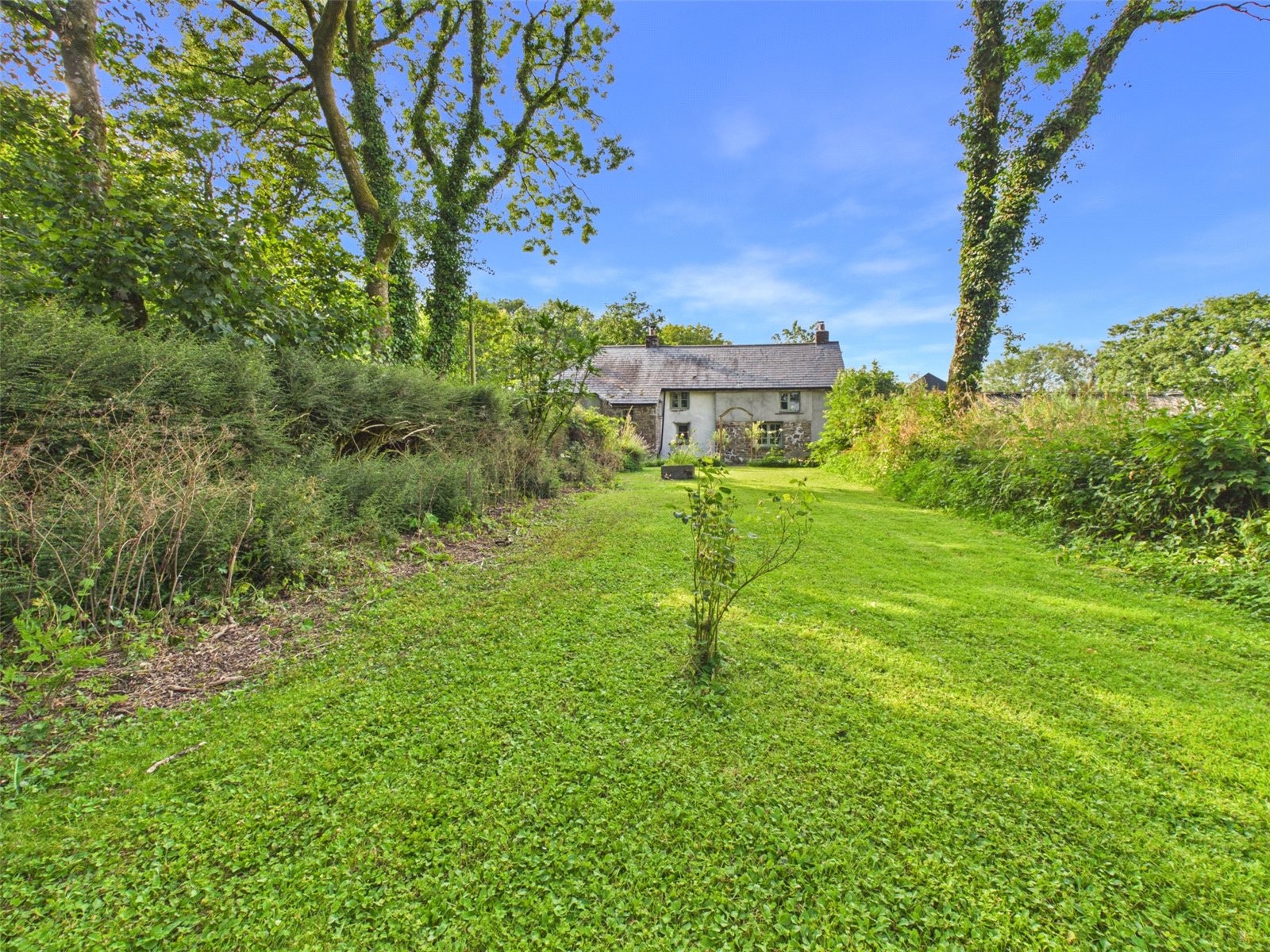 Higher Killatree Farm, Killatree, Holsworthy image 34