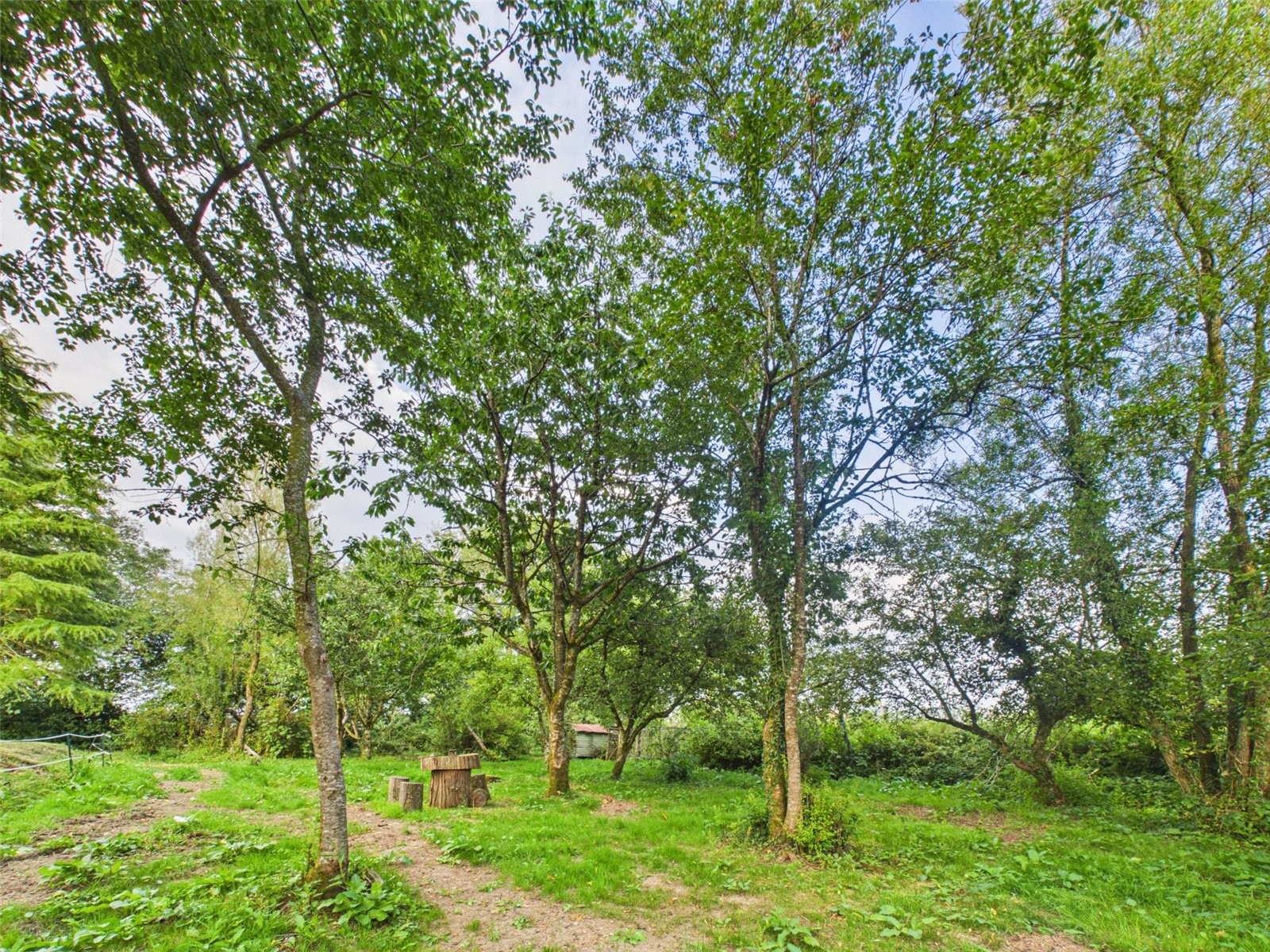 Higher Killatree Farm, Killatree, Holsworthy image 45