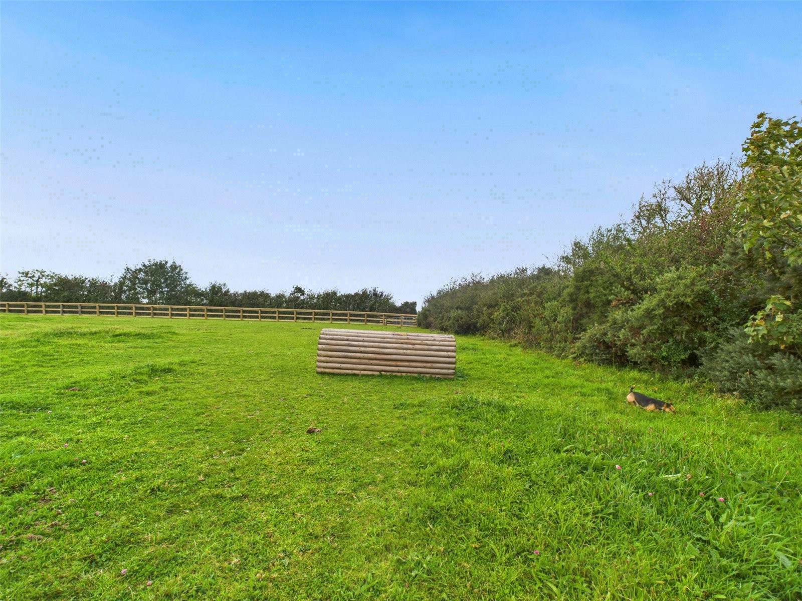 Higher Killatree Farm, Killatree, Holsworthy image 47