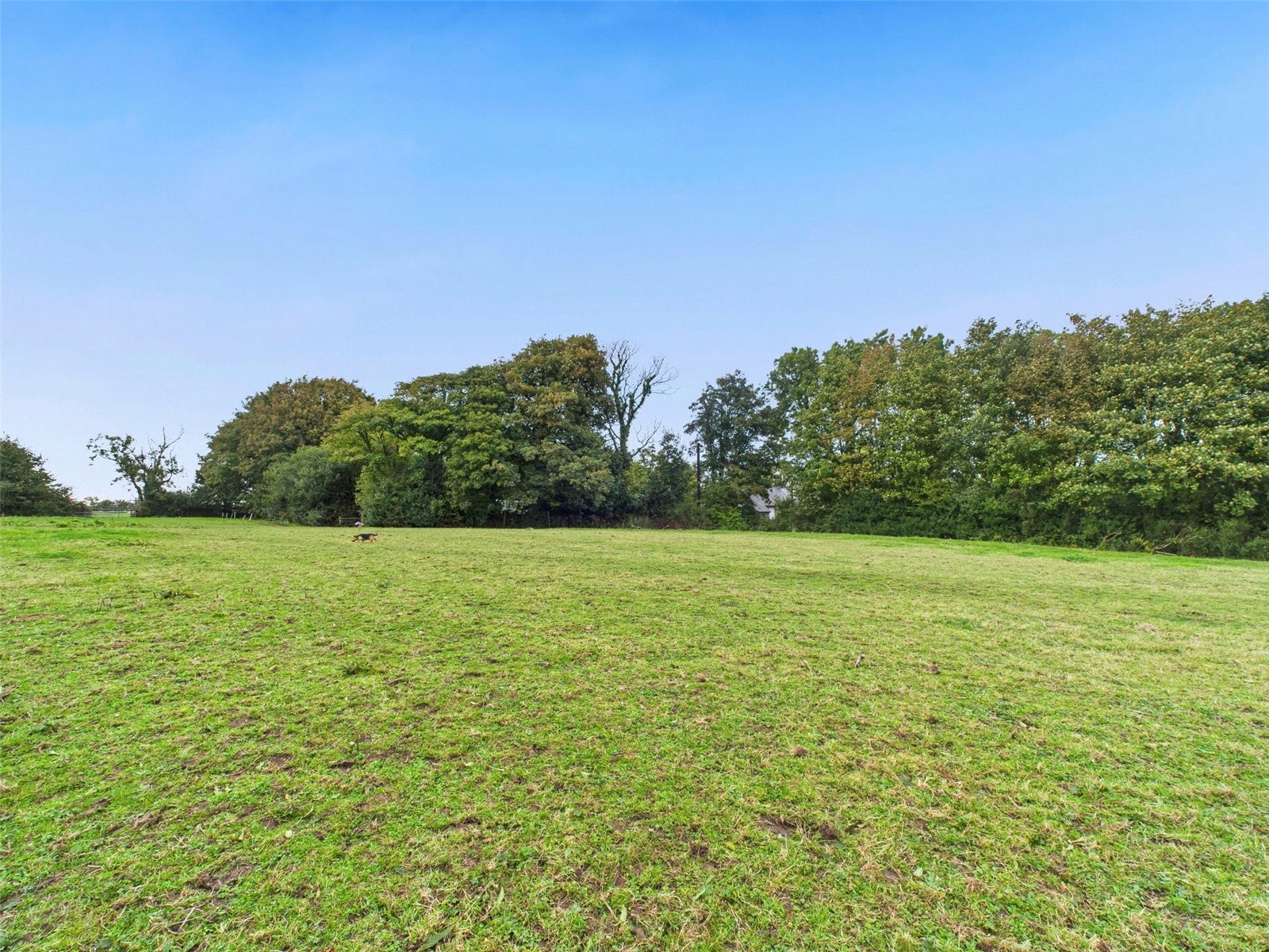Higher Killatree Farm, Killatree, Holsworthy image 49