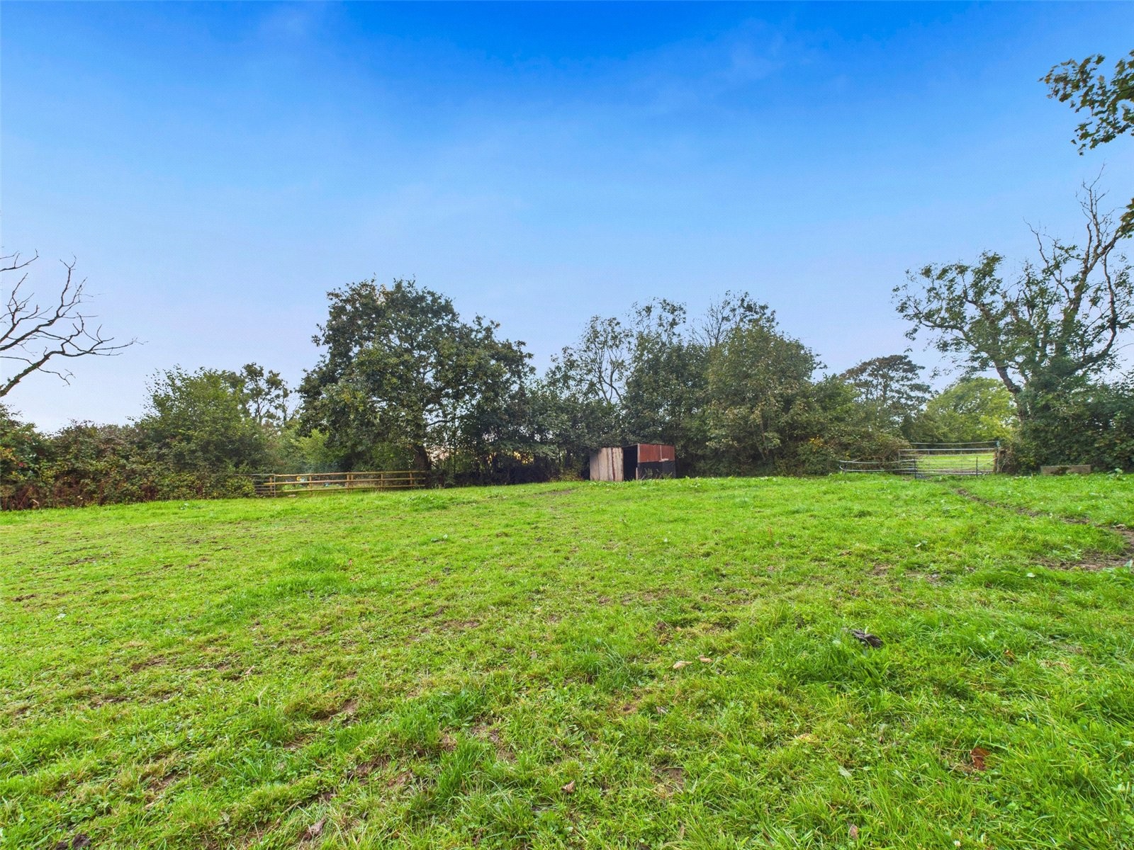 Higher Killatree Farm, Killatree, Holsworthy image 50