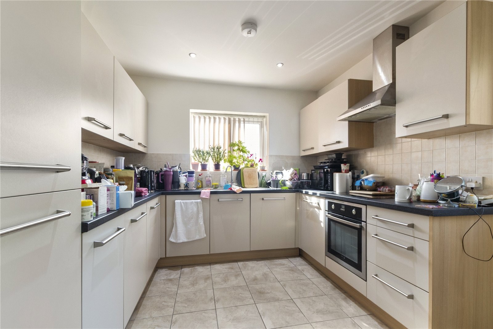 Falcon Mews, Cleethorpes, N E Lincs image 2