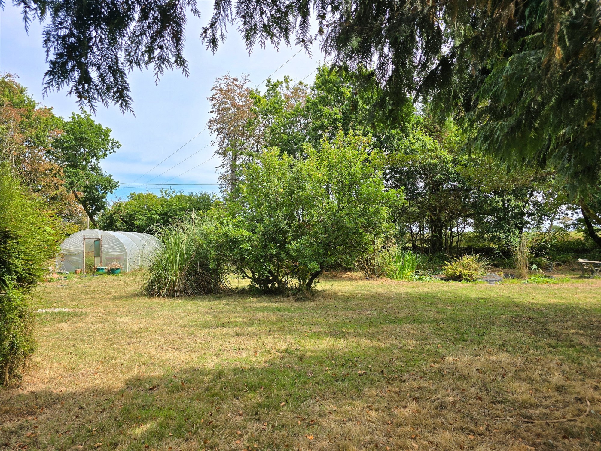 Ashwater, Beaworthy, Devon image 17