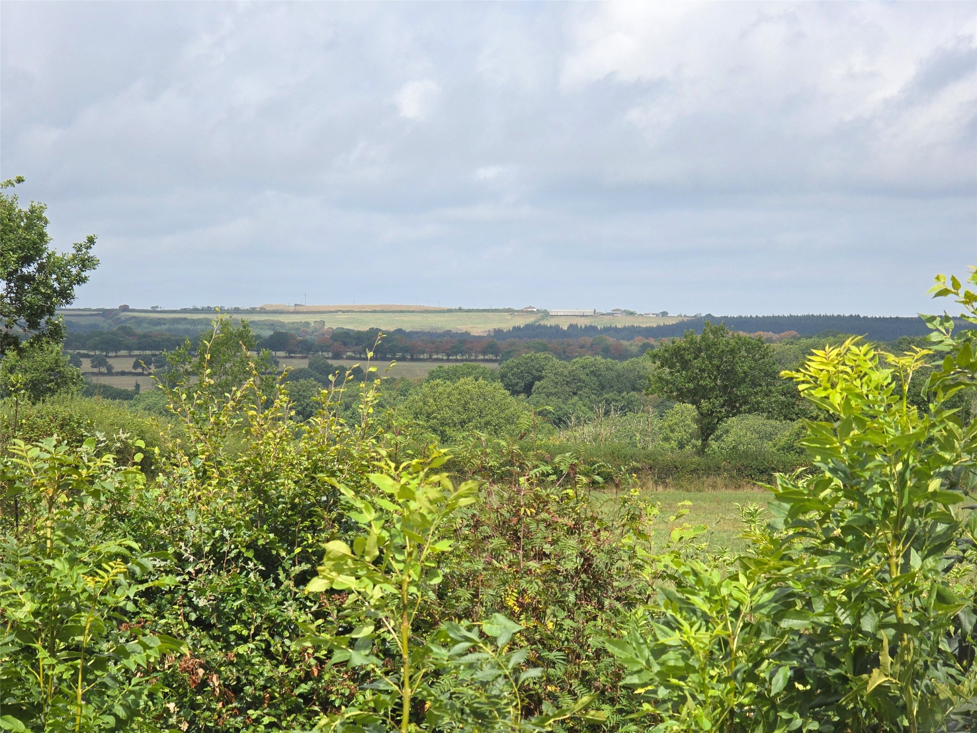 Ashwater, Beaworthy, Devon image 22