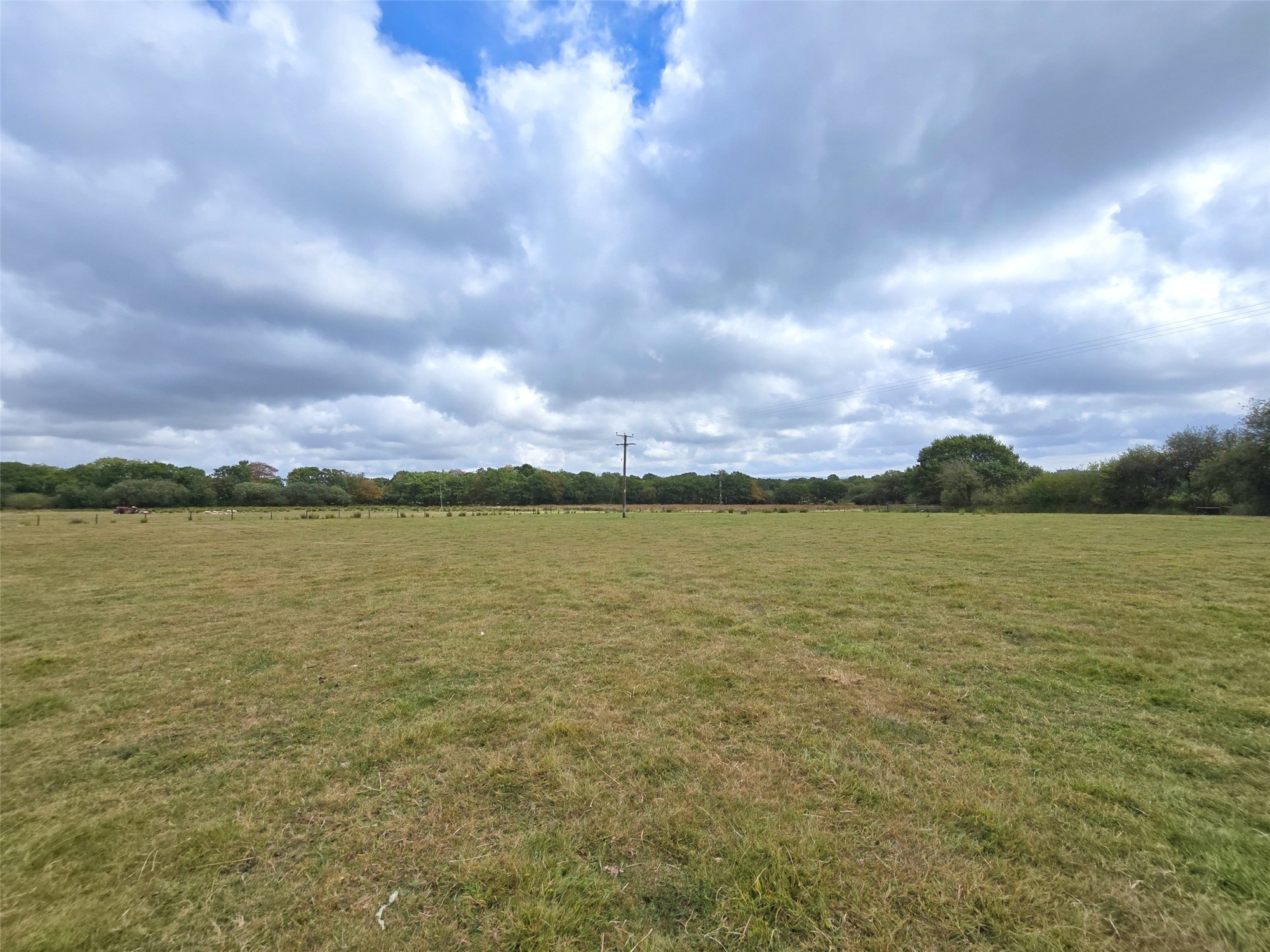 Ashwater, Beaworthy, Devon image 8