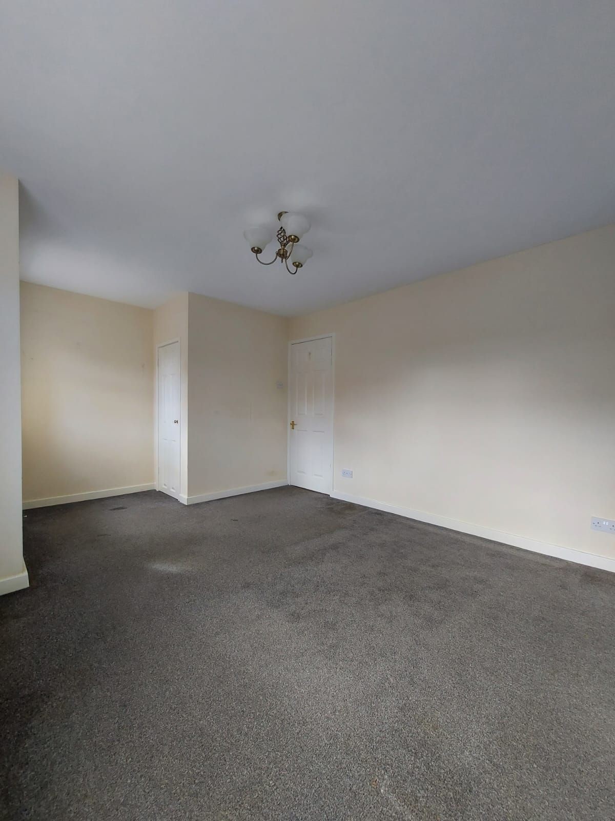Hazel Avenue, Sunderland image 11