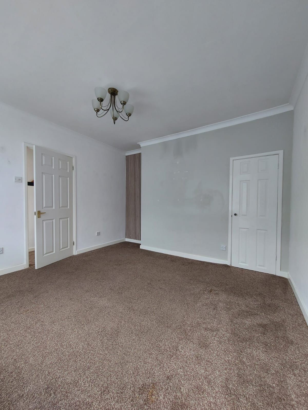 Hazel Avenue, Sunderland image 15