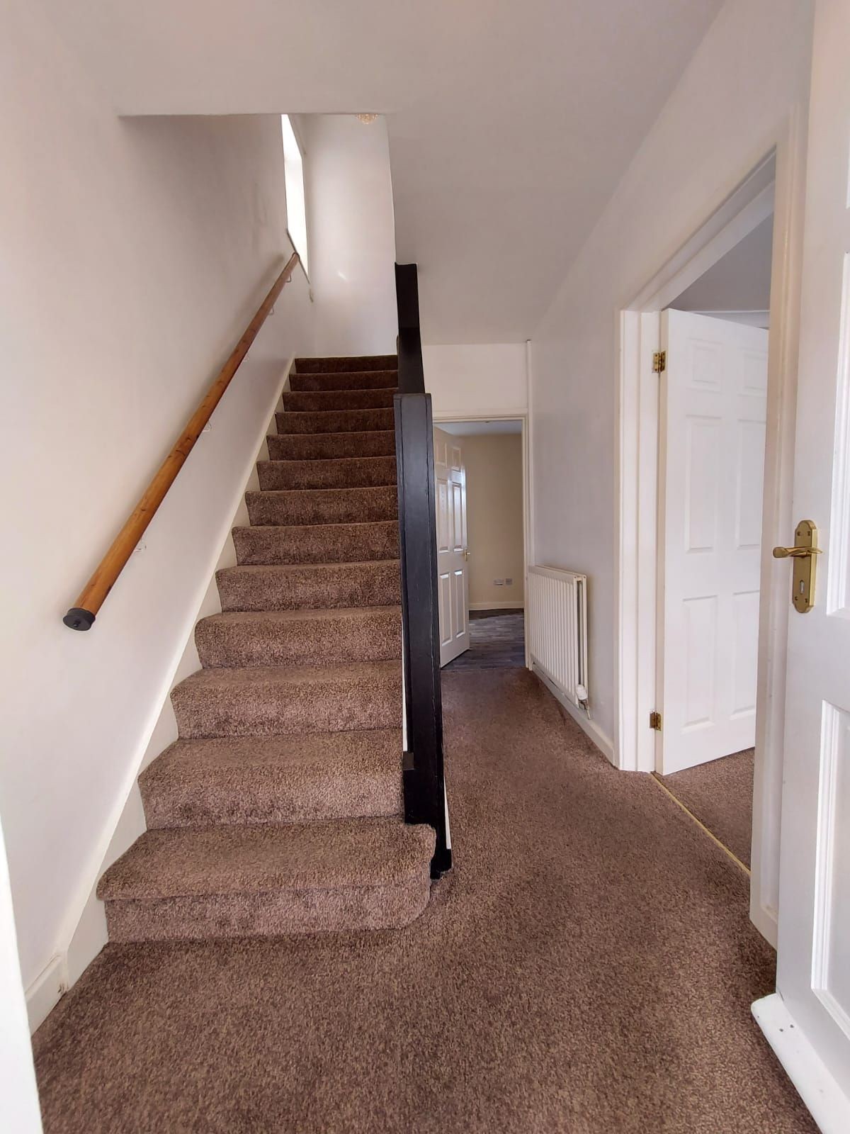 Hazel Avenue, Sunderland image 10