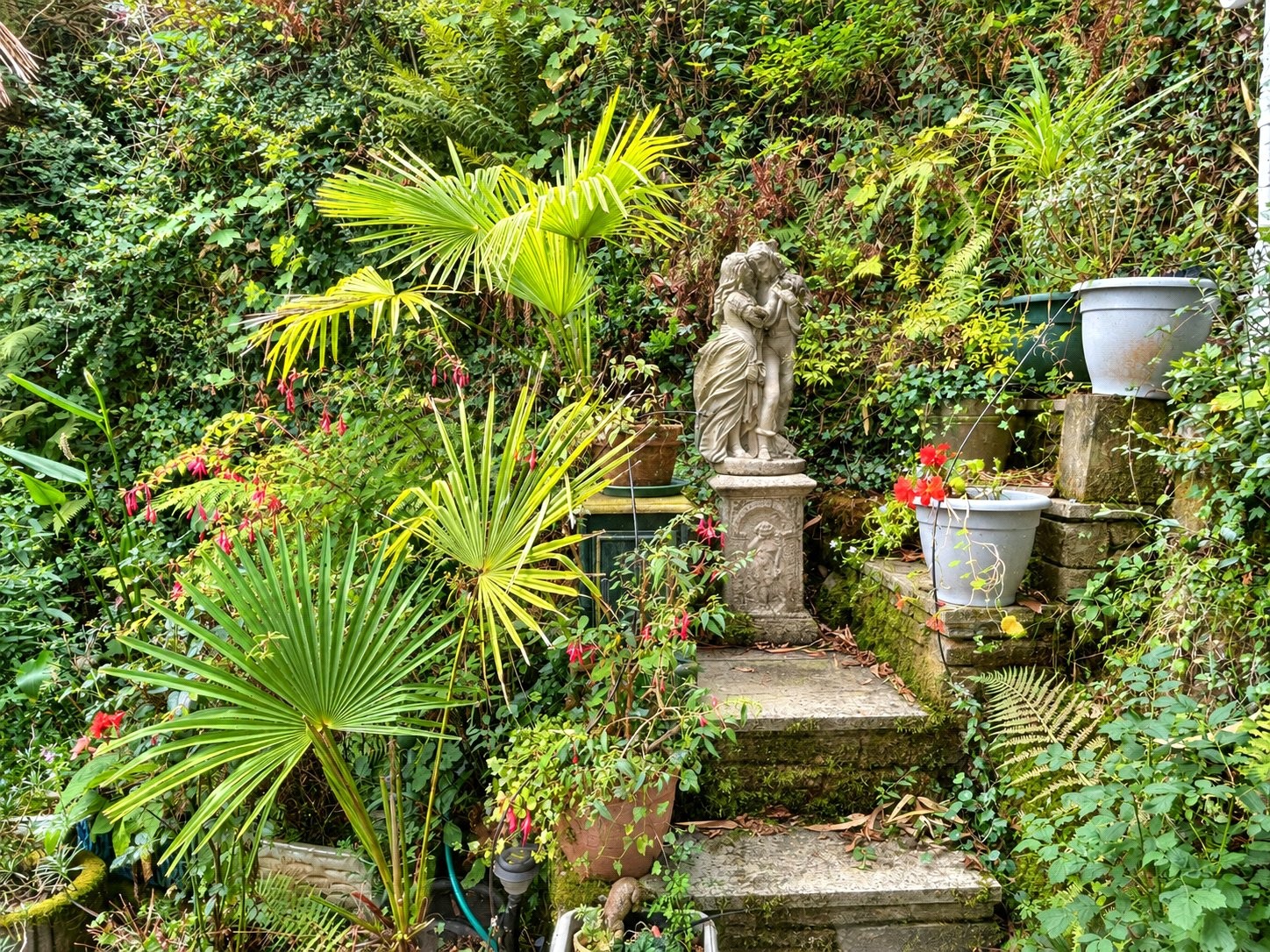 Hellandbridge, Bodmin, Cornwall image 24