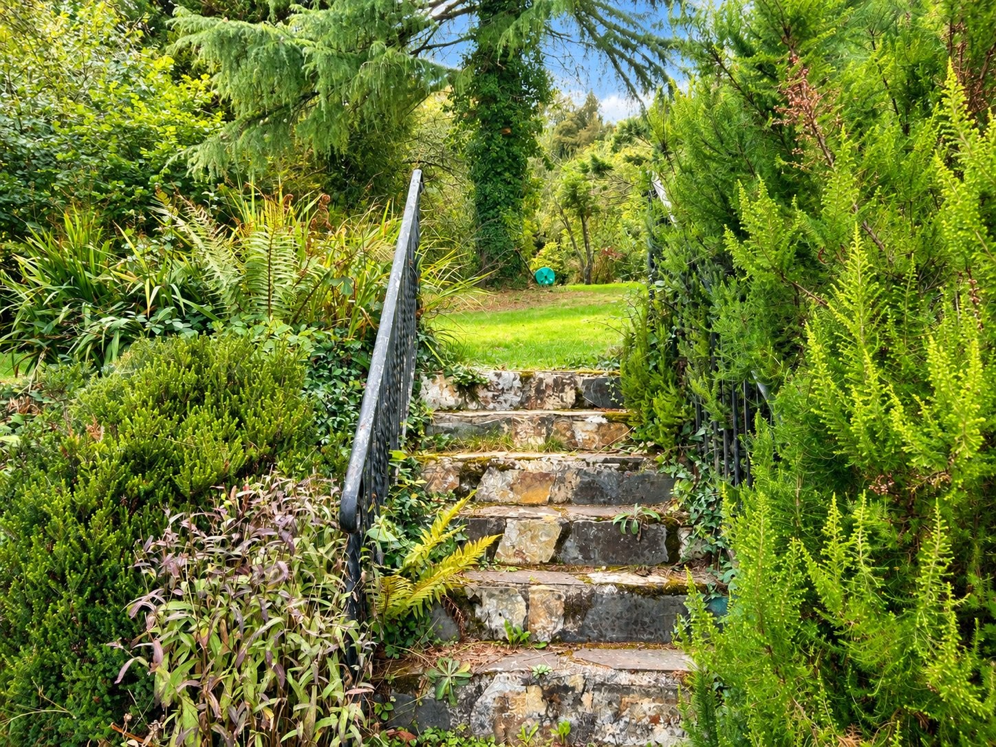 Hellandbridge, Bodmin, Cornwall image 25