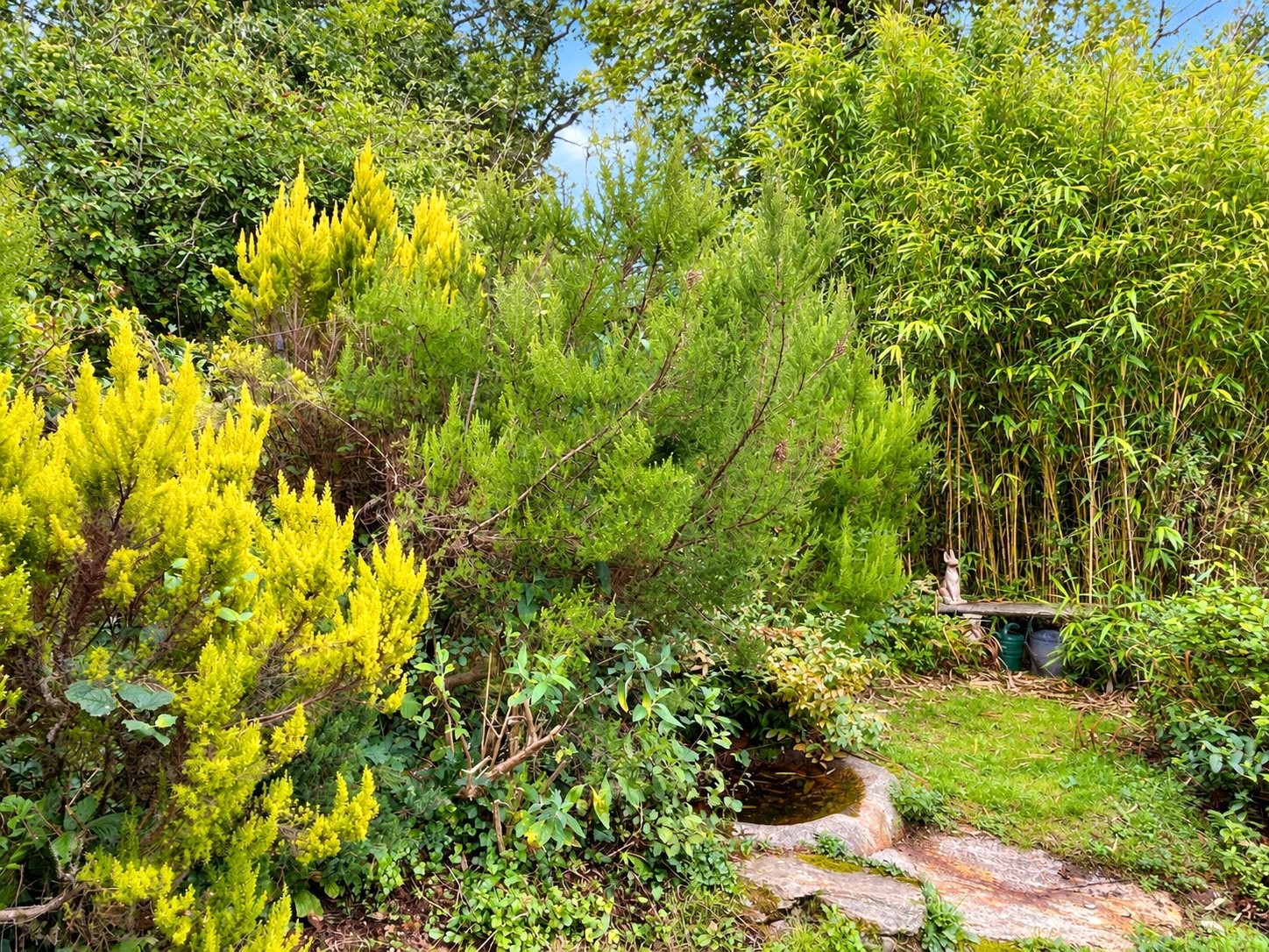 Hellandbridge, Bodmin, Cornwall image 26