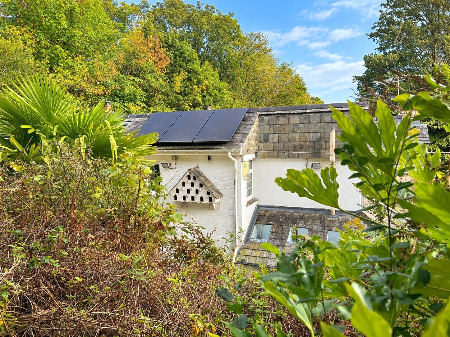 Hellandbridge, Bodmin, Cornwall image 27