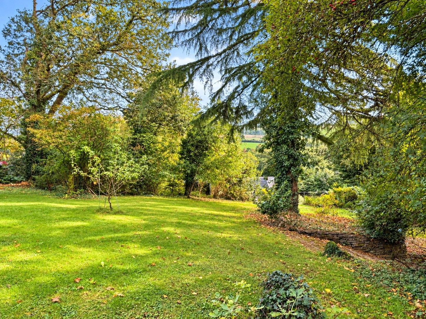 Hellandbridge, Bodmin, Cornwall image 30