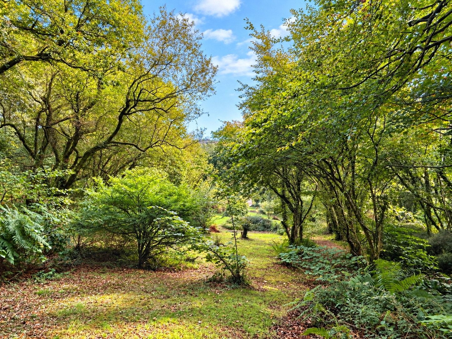 Hellandbridge, Bodmin, Cornwall image 33