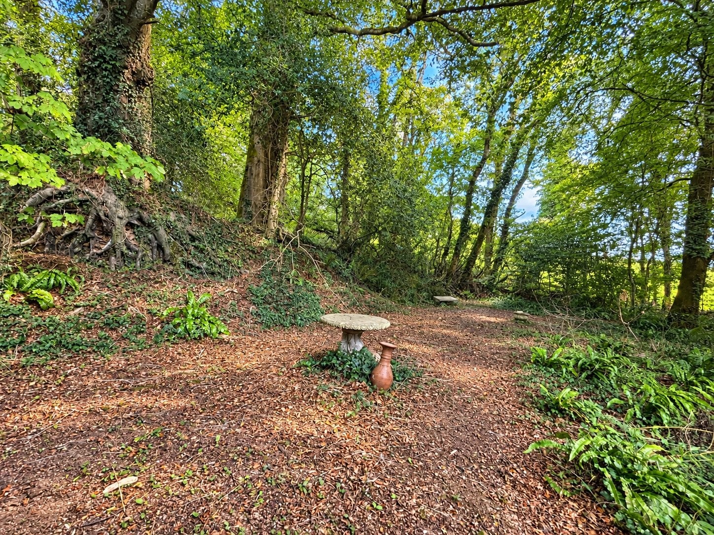 Hellandbridge, Bodmin, Cornwall image 34