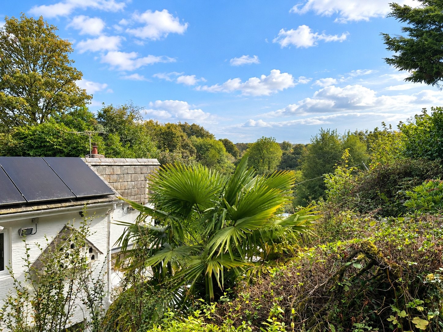 Hellandbridge, Bodmin, Cornwall image 37