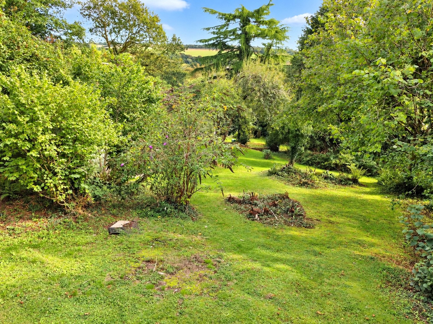 Hellandbridge, Bodmin, Cornwall image 40