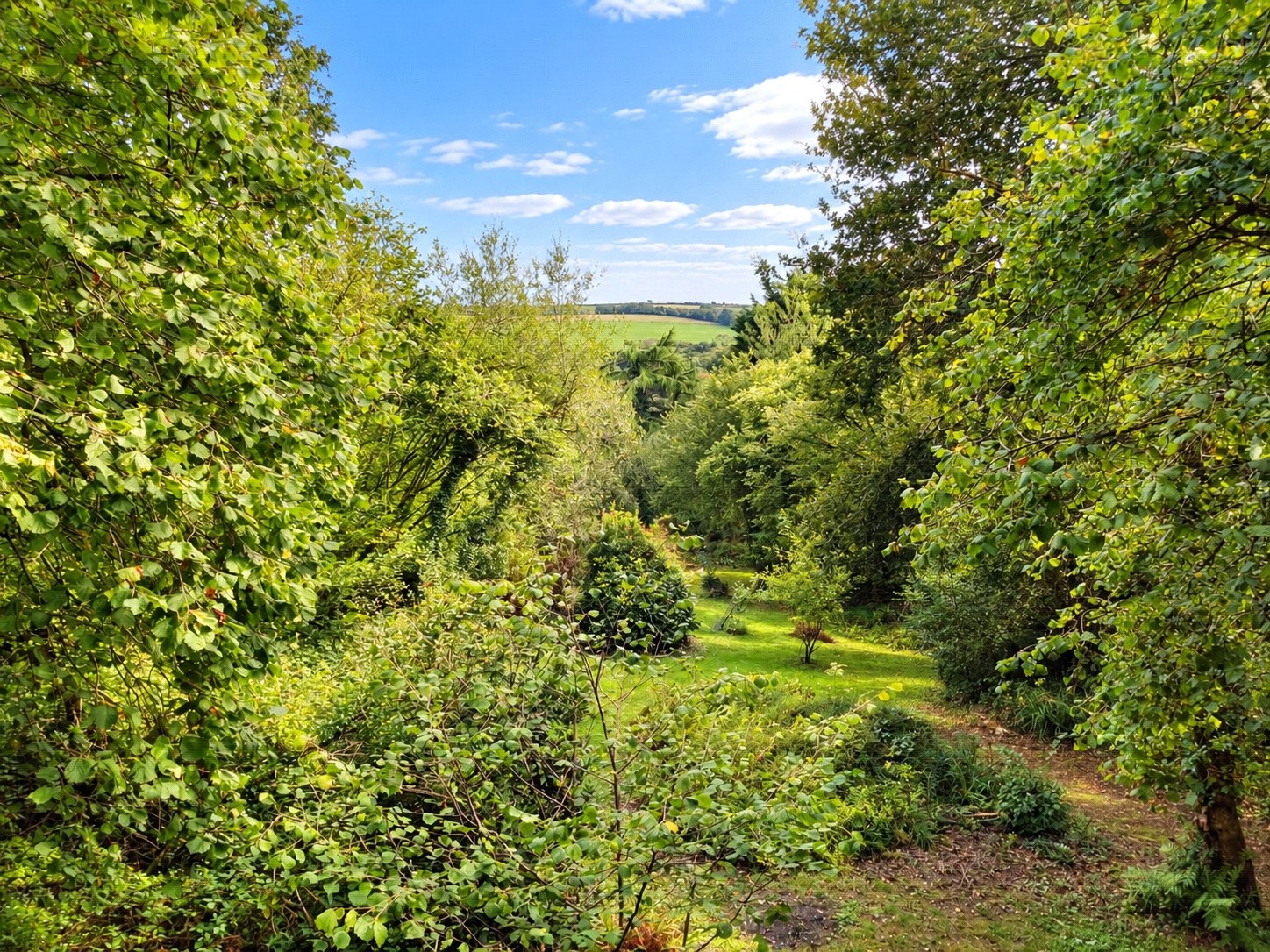 Hellandbridge, Bodmin, Cornwall image 41