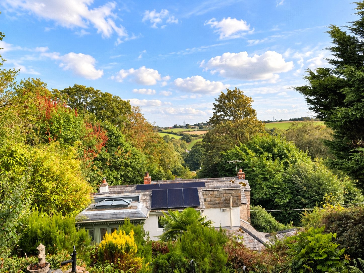 Hellandbridge, Bodmin, Cornwall image 43