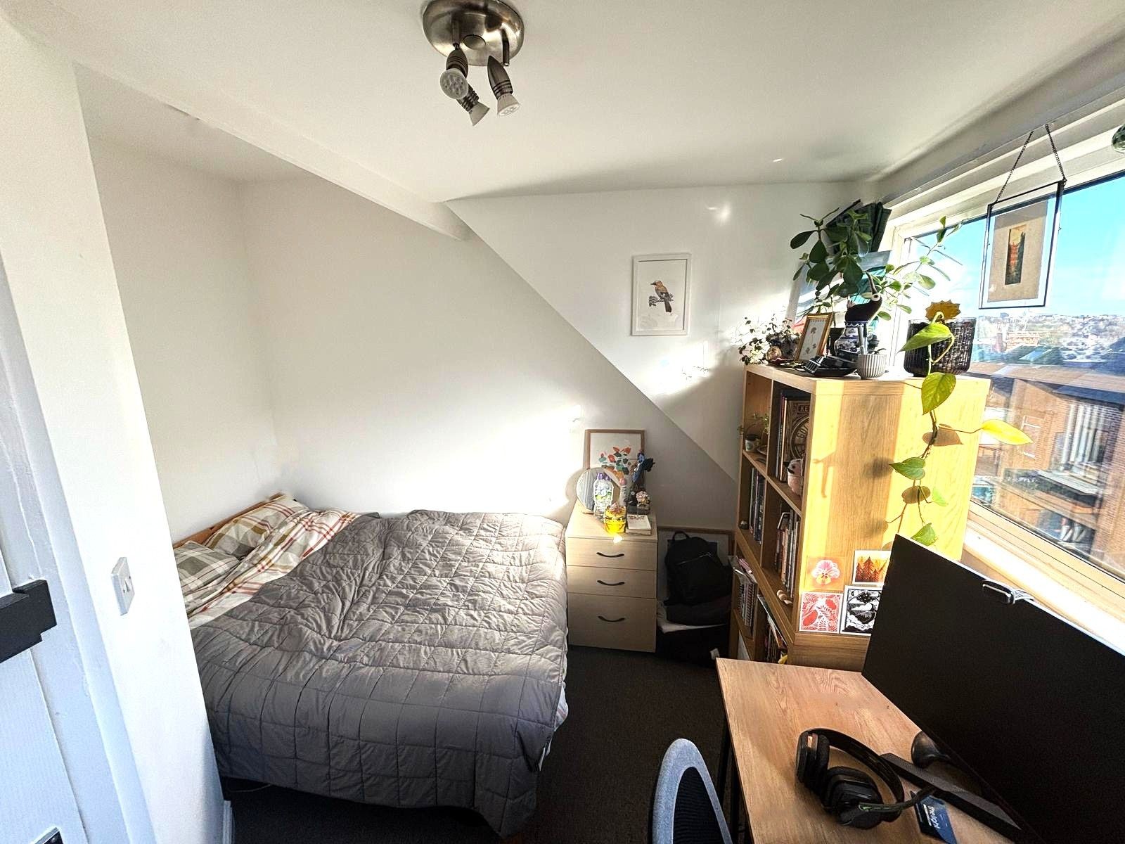 43 Ashford Road, Sheffield image 12
