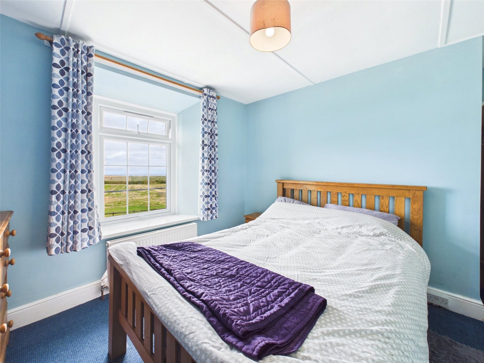 Near Boscastle, Cornwall image 10
