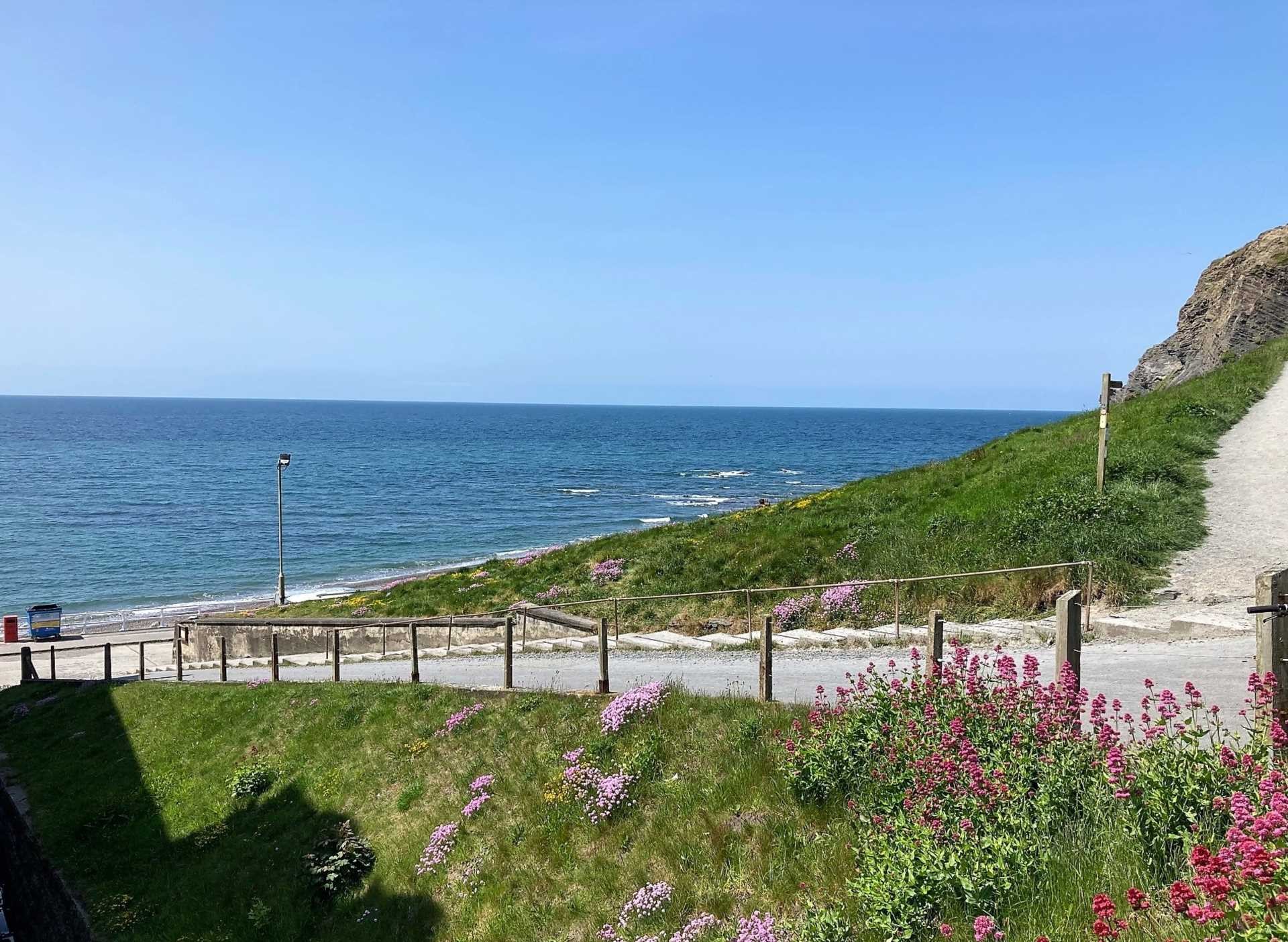 Brynymor Terrace, Aberystwyth image 12